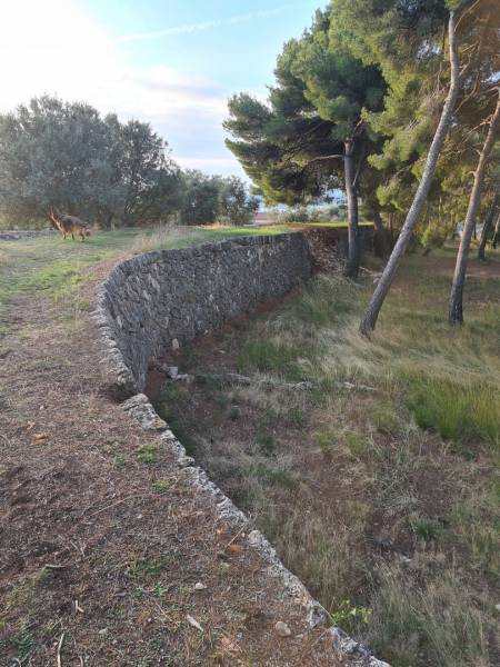 muraille avec vue sur la rade de toulon  cotés Est avec chemin de promenade  au parc de la Villa Margurite à OLLIOULES DANS LE VAR 