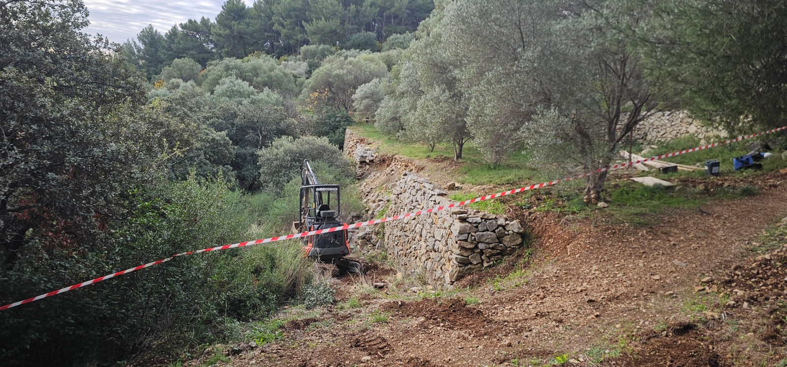 Reconstruction de murets en pierres au Conservatoire Variétal de l’Olivier à La Valette 