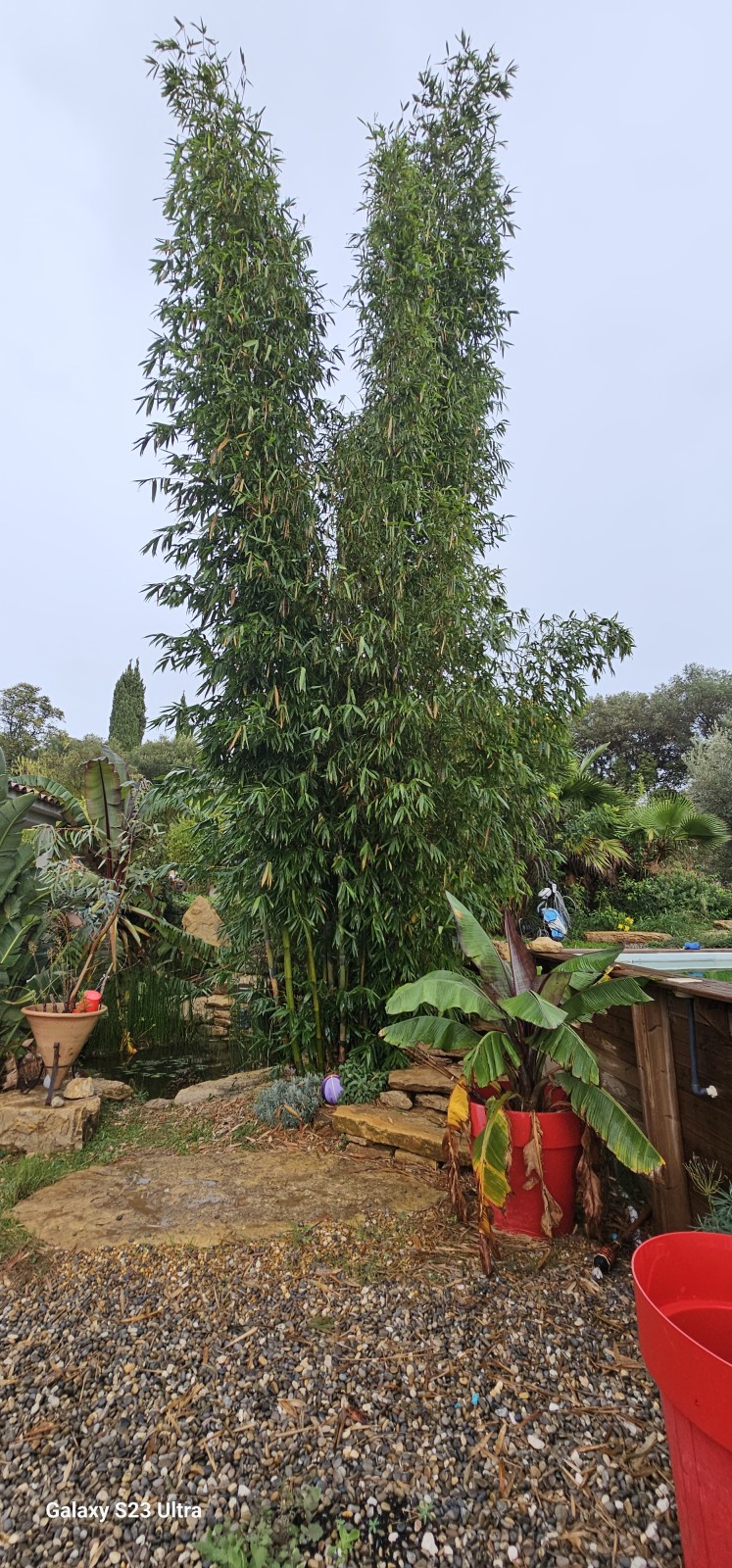 création d'un jardin méditerranéen sur Ollioules dans le VAR