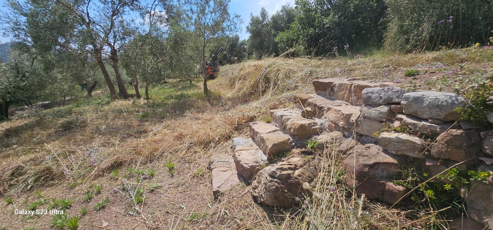 Reconstruction murets en pierres sèches de restanques au jardin des Olivier de la Mairie d'Ollioules