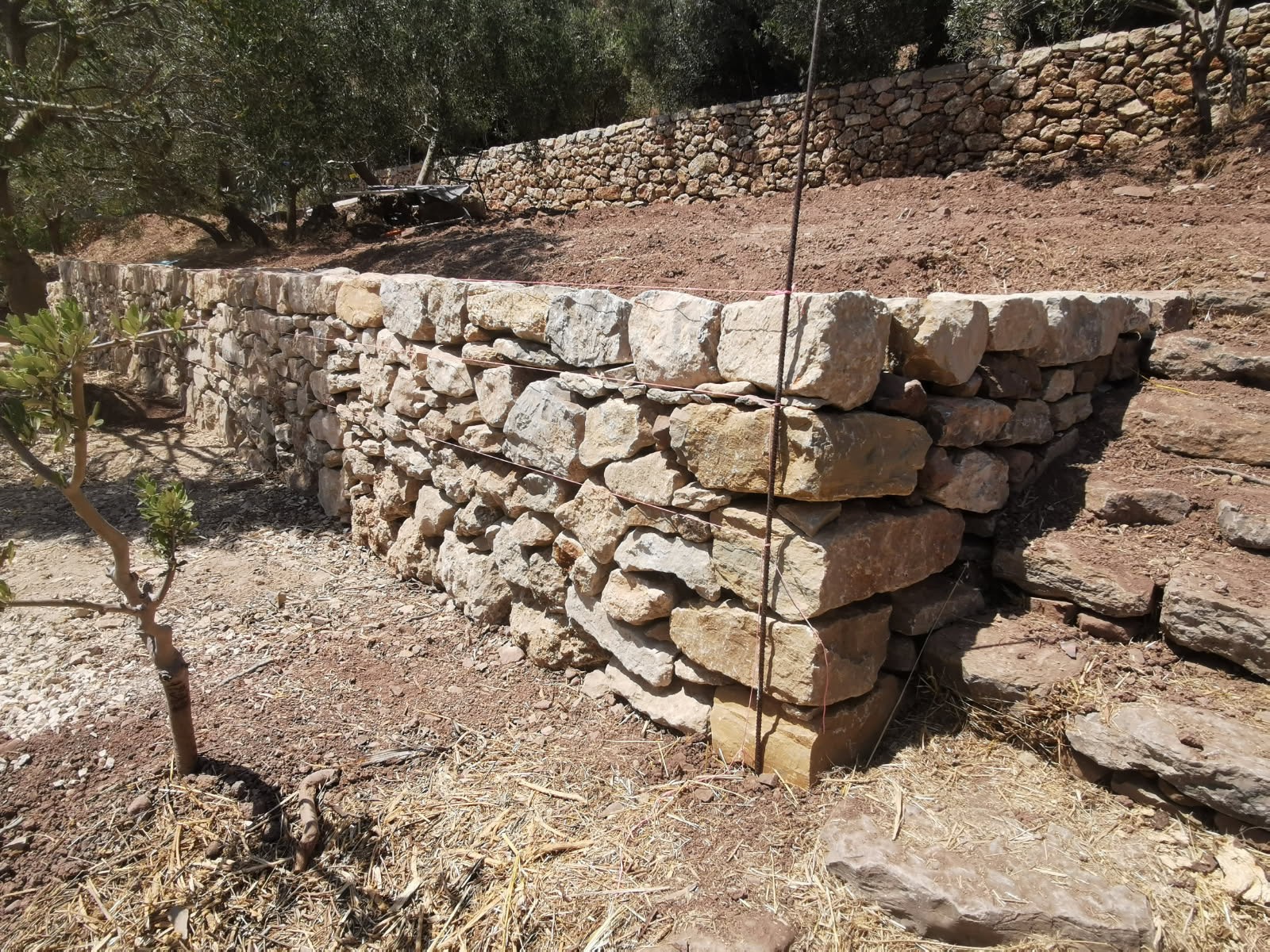 Reconstruction murets en pierres sèches de restanques au jardin des Olivier de la Mairie d'Ollioules
