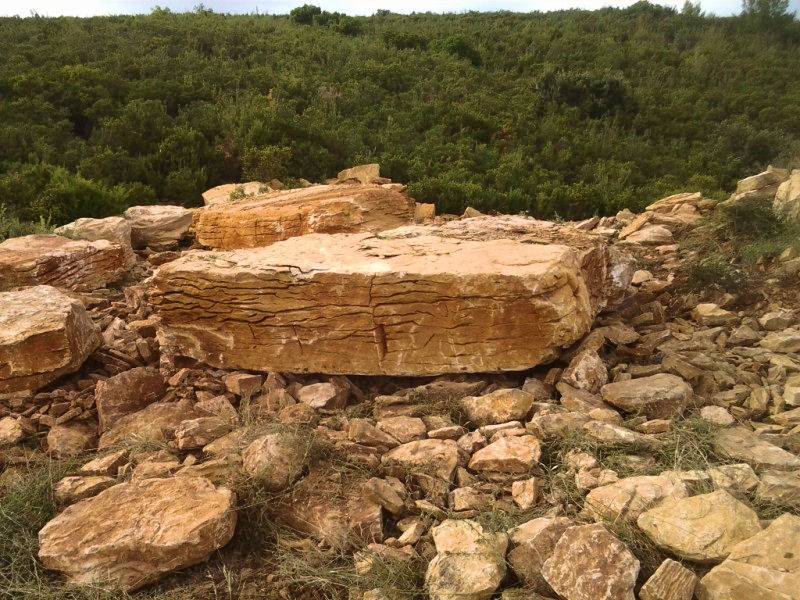 vente de grosse pierre deco pour votre jardin