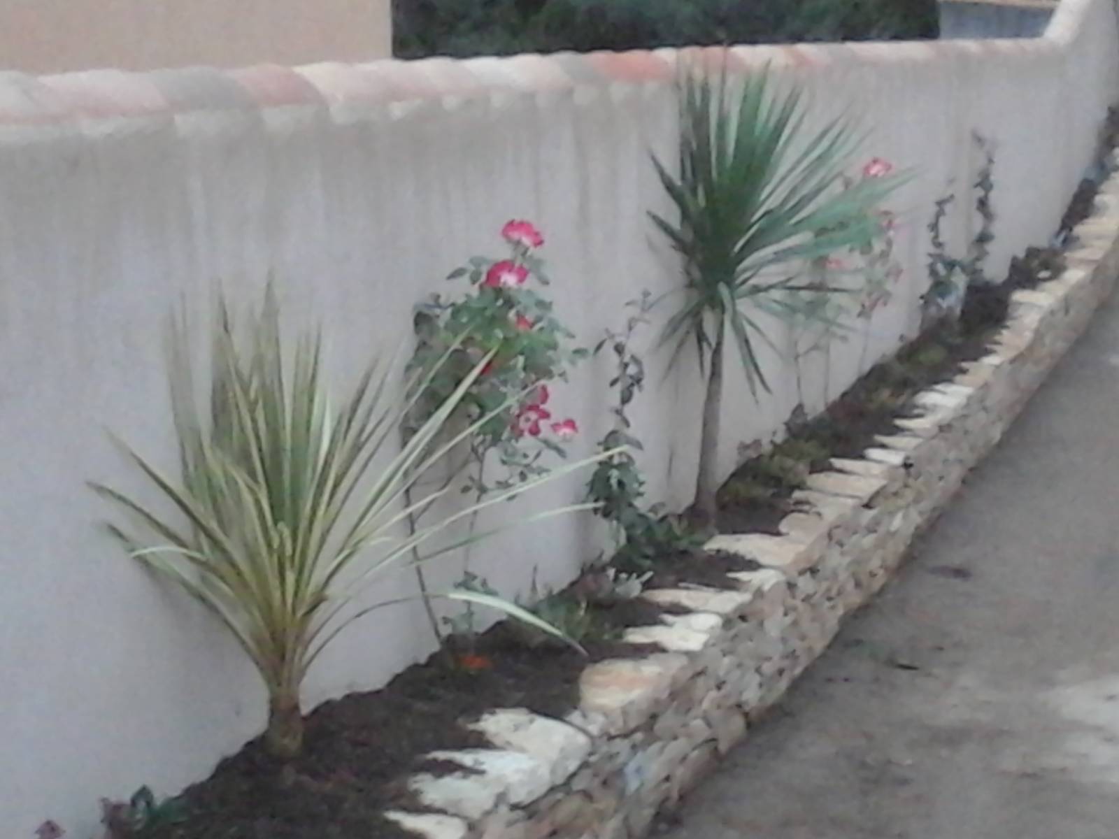 création d'un muret en pierre sèche avec plantation végétaux