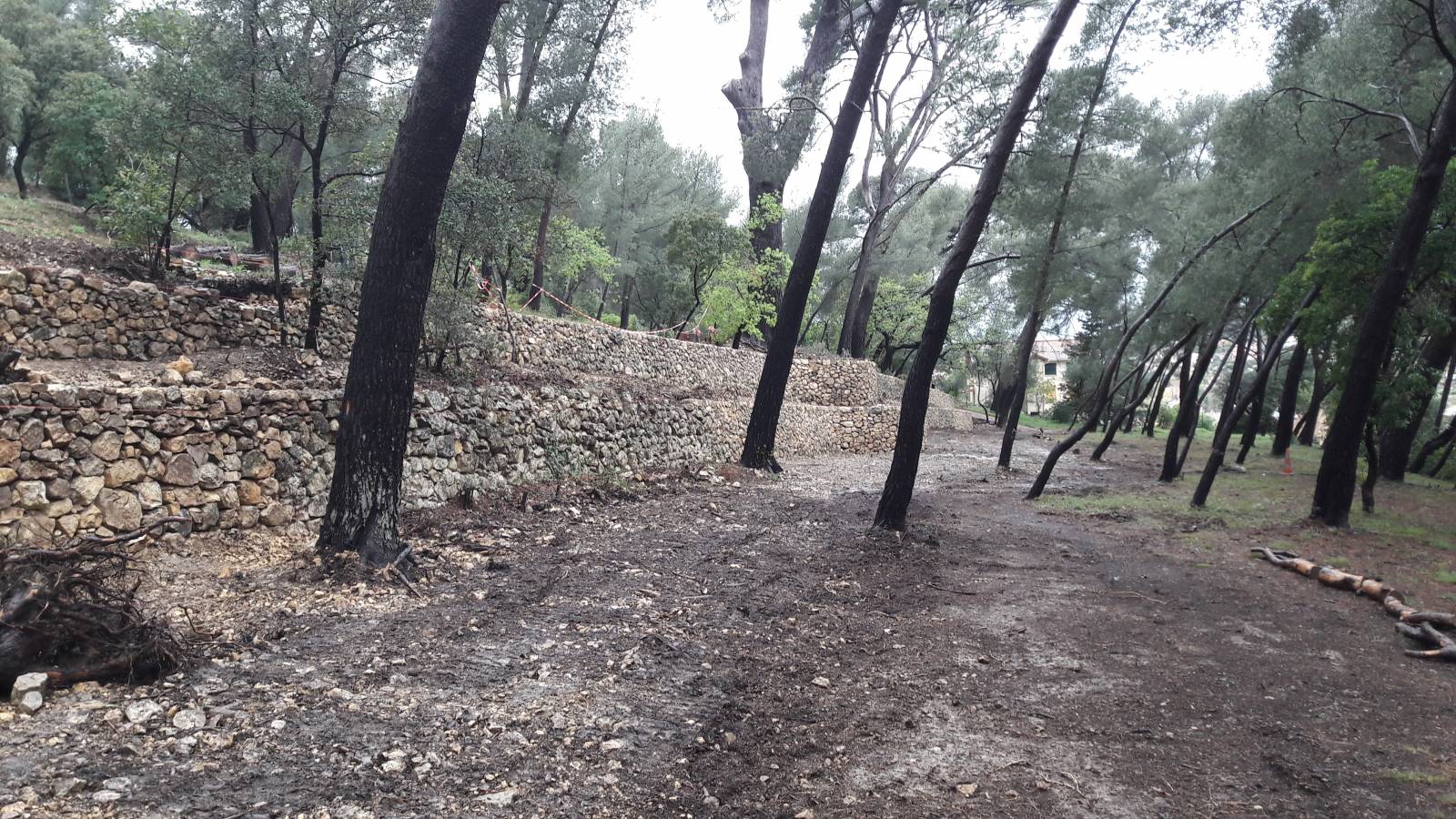 restanque de vieux murets en pierres