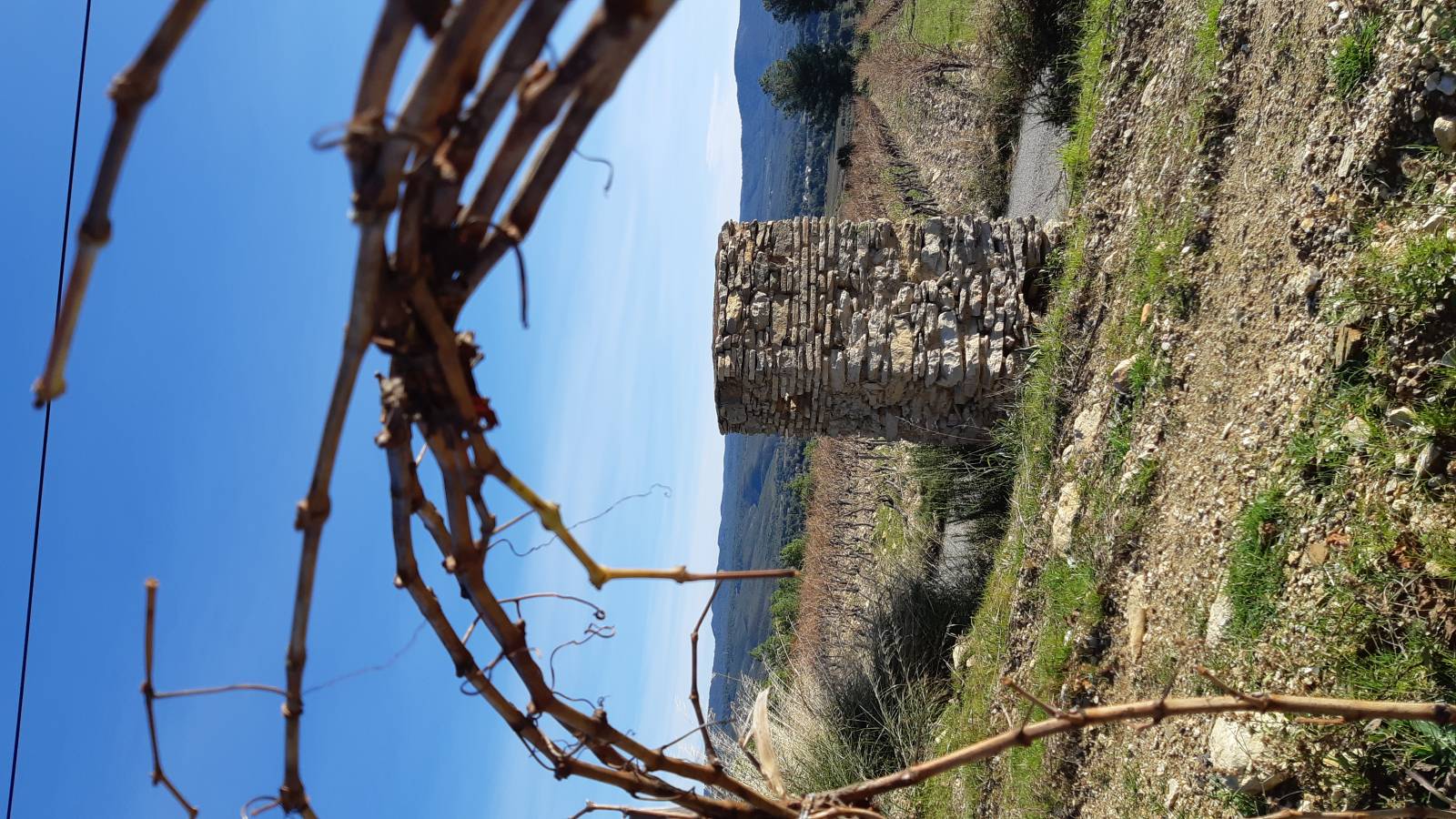qui peut faire la reconstruction de vieux murs en pierres sur la Cadiéres d' azur