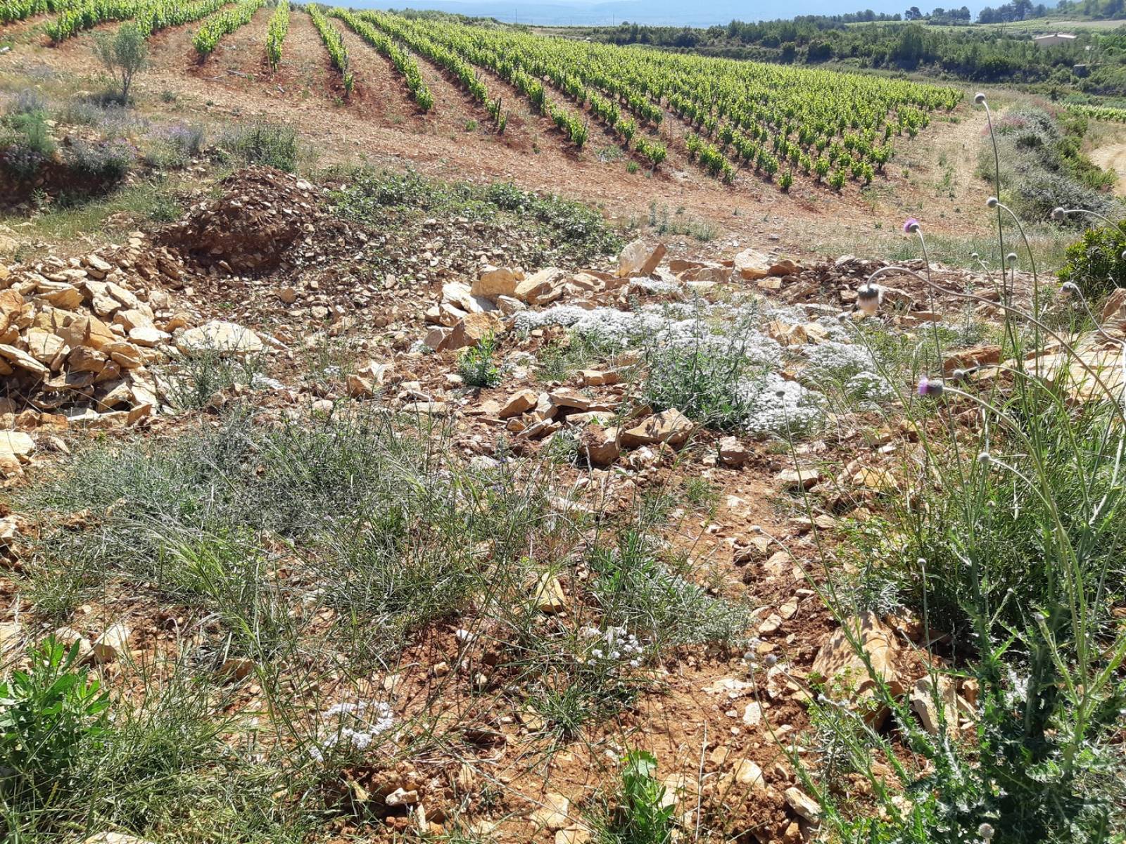 projet de création de 1 dolmen sur var