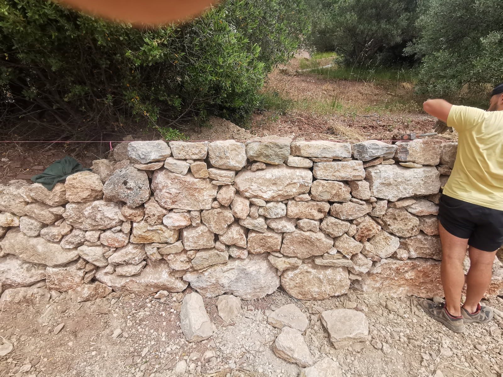 Reconstruction murets en pierres sèches de restanques au jardin des Olivier de la Mairie d'Ollioules