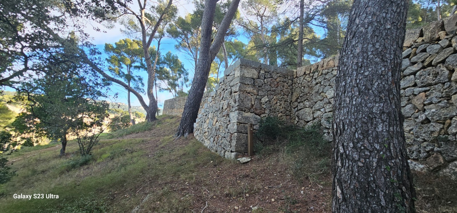 Restauration d anciens murs en pierres sèches à Ollioules 5 ans après