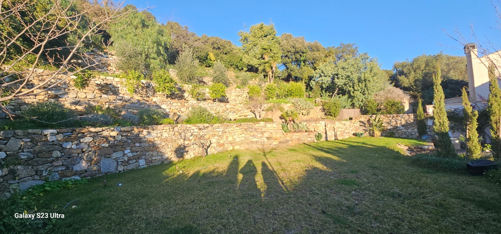 Création de restanques et murs en pierres sèches à Ramatuelle