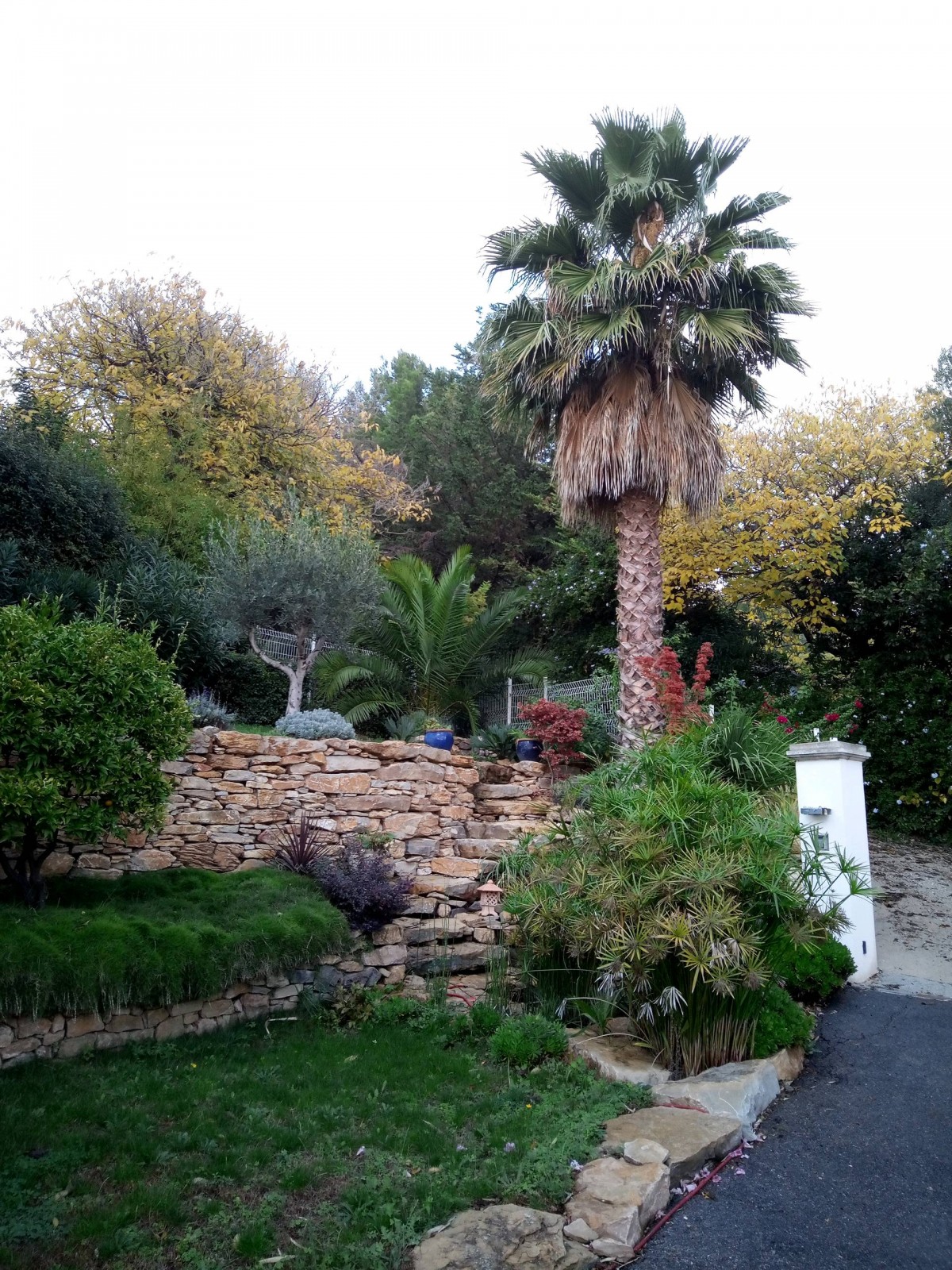 devis création bassin naturel pierre Toulon 83