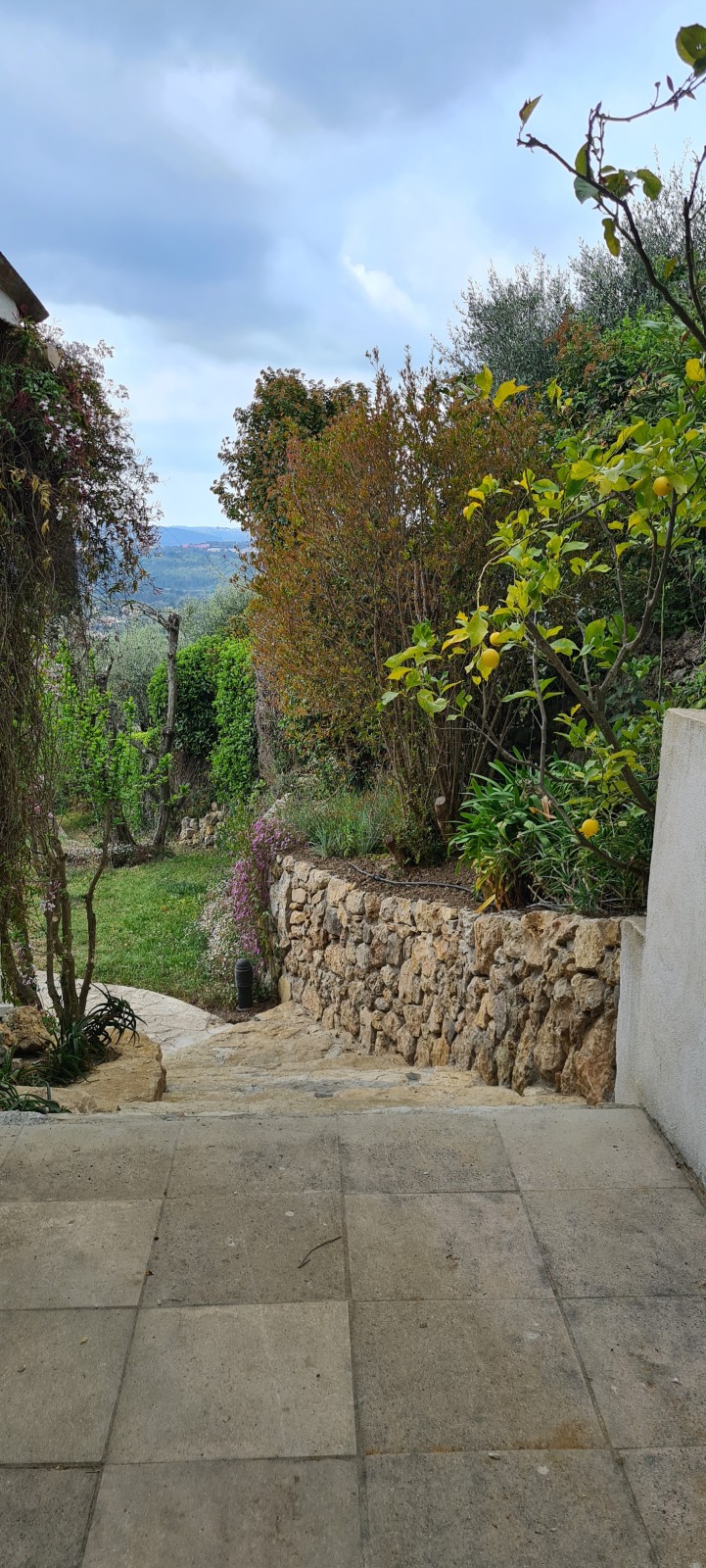 maurets authentiques 