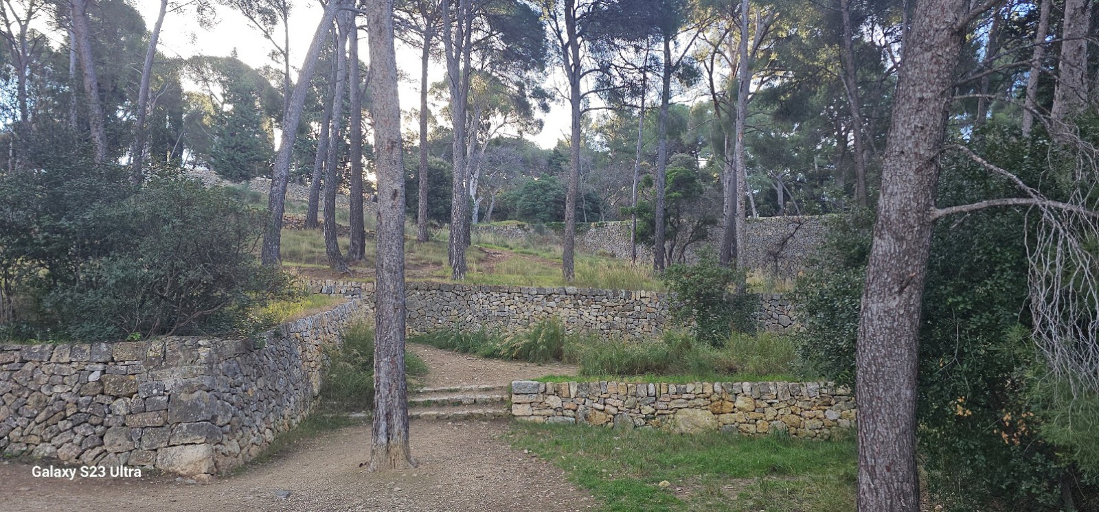 Restauration d anciens murs en pierres sèches à Ollioules 5 ans après