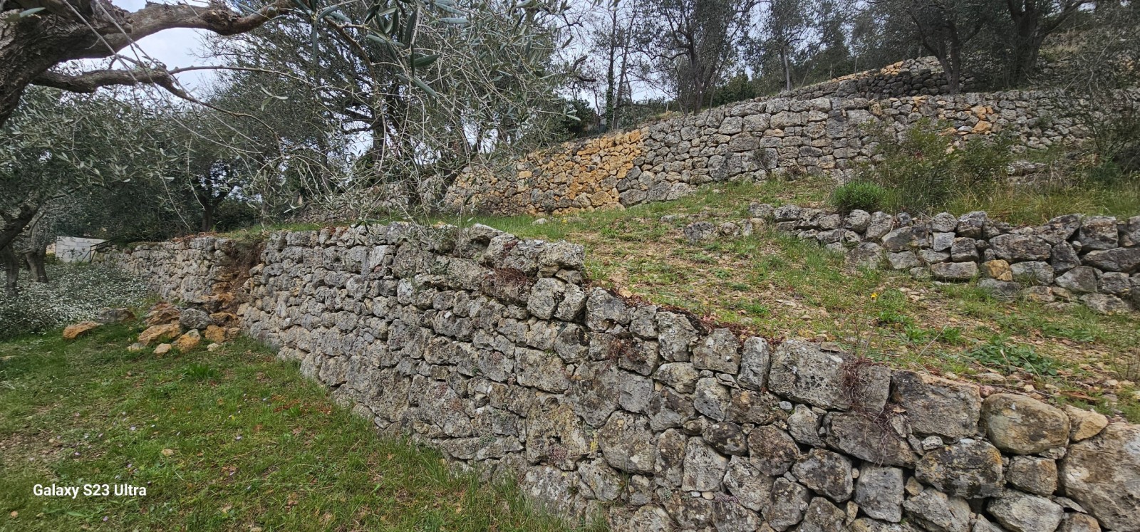 Visite 3 ans après sur la reconstruction de murets en pierres sèches à Mouans-Sartoux dans Alpes-Maritimes, en région Provence-Alpes-Côte d'Azur.