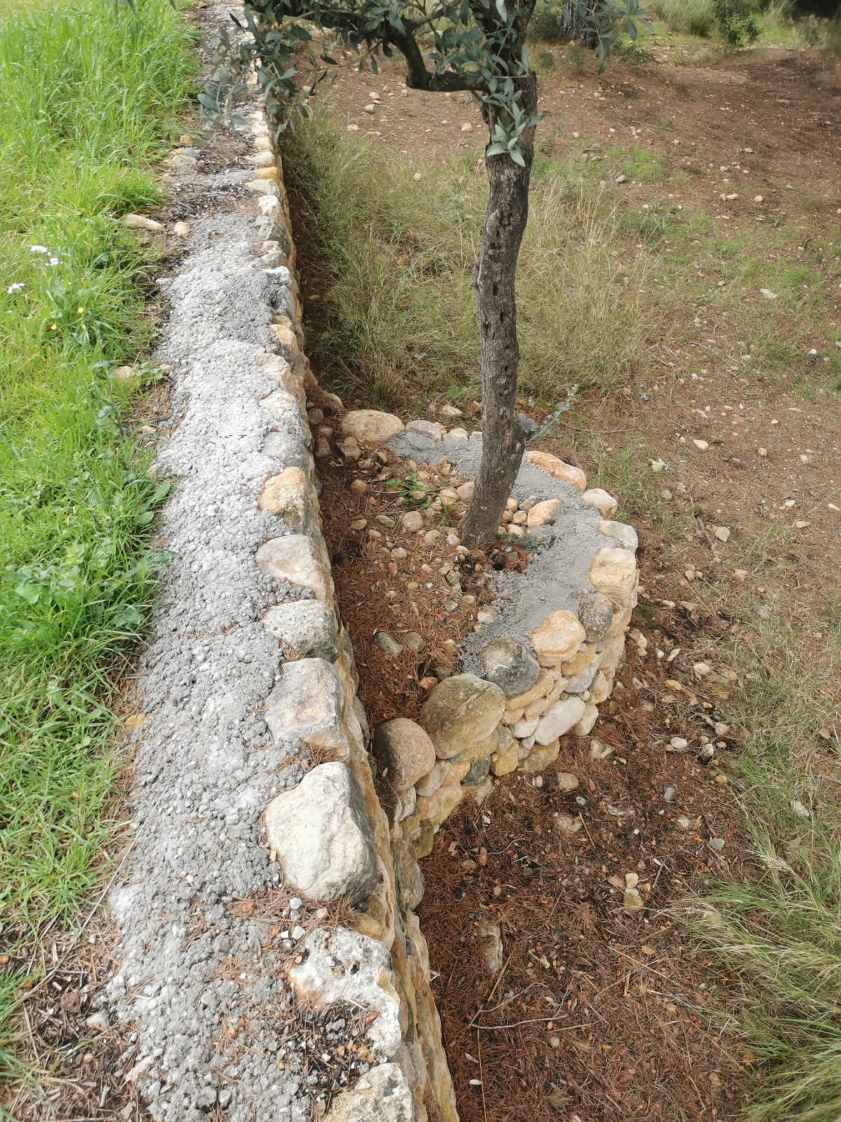 Réparation des murs en pierres sèches sur le parc de la Villa Marguerite à Ollioules