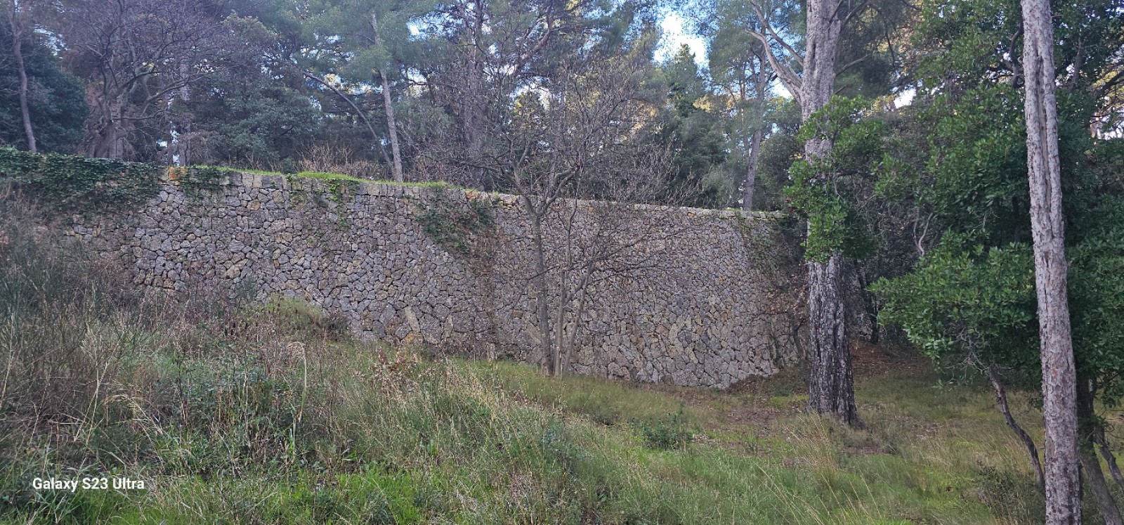 Restauration d anciens murs en pierres sèches à Ollioules 5 ans après