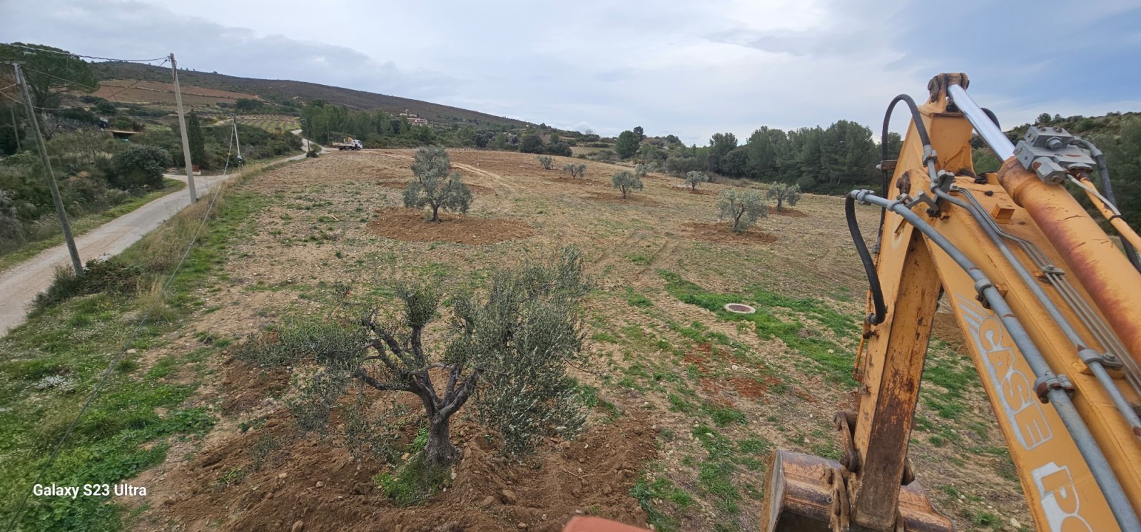 transplantation de trés gros oliviers pour le domaine de la Suffrène à la Cadiéres d azur