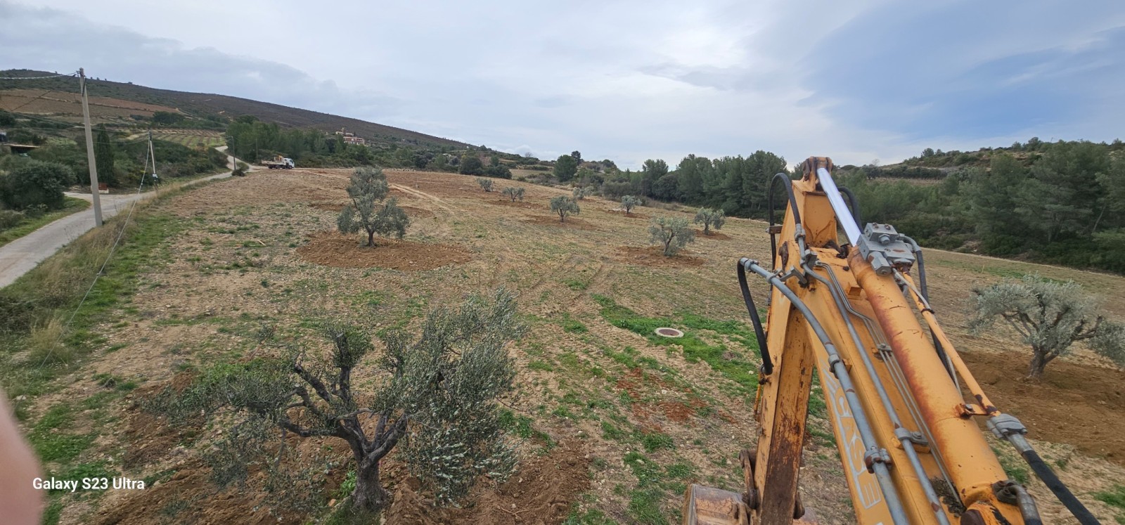 transplantation de trés gros oliviers pour le domaine de la Suffrène à la Cadiéres d azur