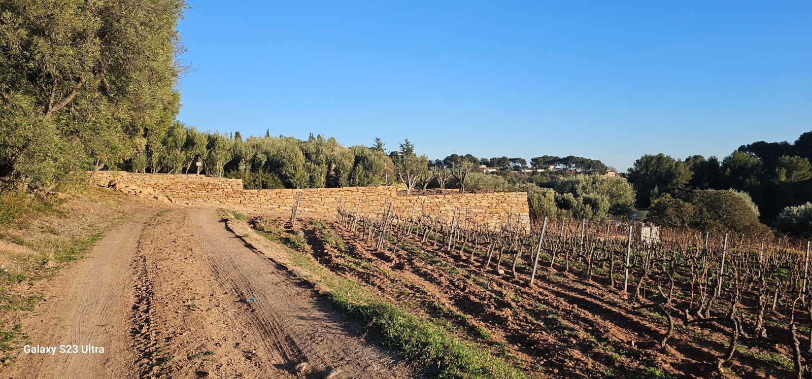 création murs en pierres sèches sur Ollioules dans le Var