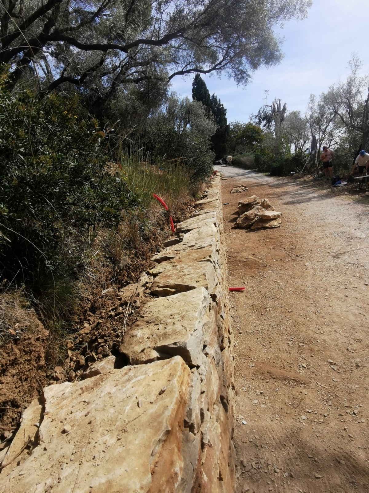 Couronnement d'un mur en pierres sèches à toulon dans le Var 