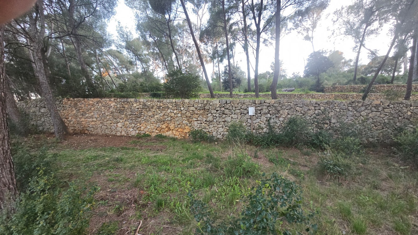 reconstruction de murets en pierres sèches à Ollioules 