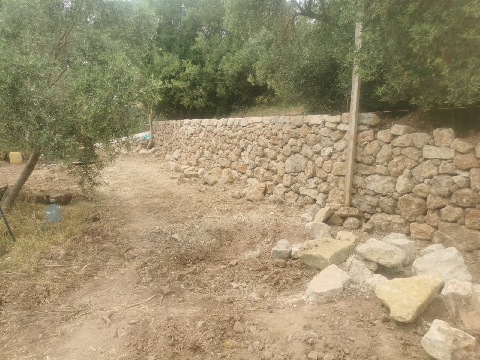 Reconstruction murets en pierres sèches de restanques au jardin des Olivier de la Mairie d'Ollioules