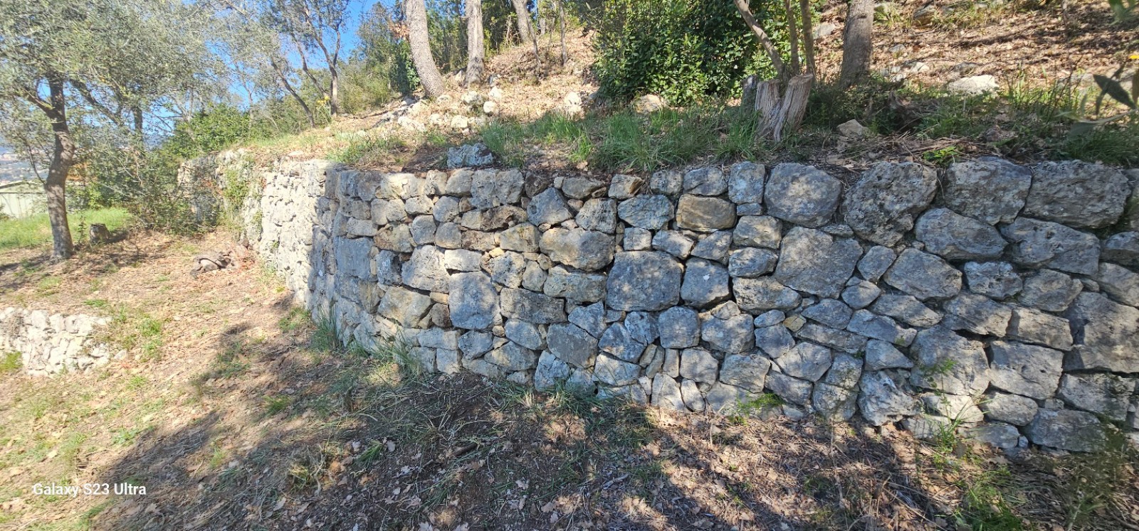 Visite 3 ans après sur la reconstruction de murets en pierres sèches à Mouans-Sartoux dans Alpes-Maritimes, en région Provence-Alpes-Côte d'Azur.