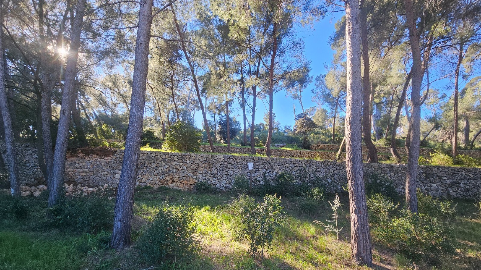 reconstruction de murets en pierres sèches à Ollioules 