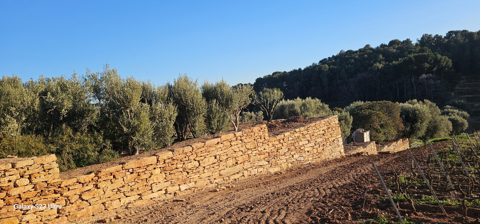 création murs en pierres sèches sur Ollioules dans le Var