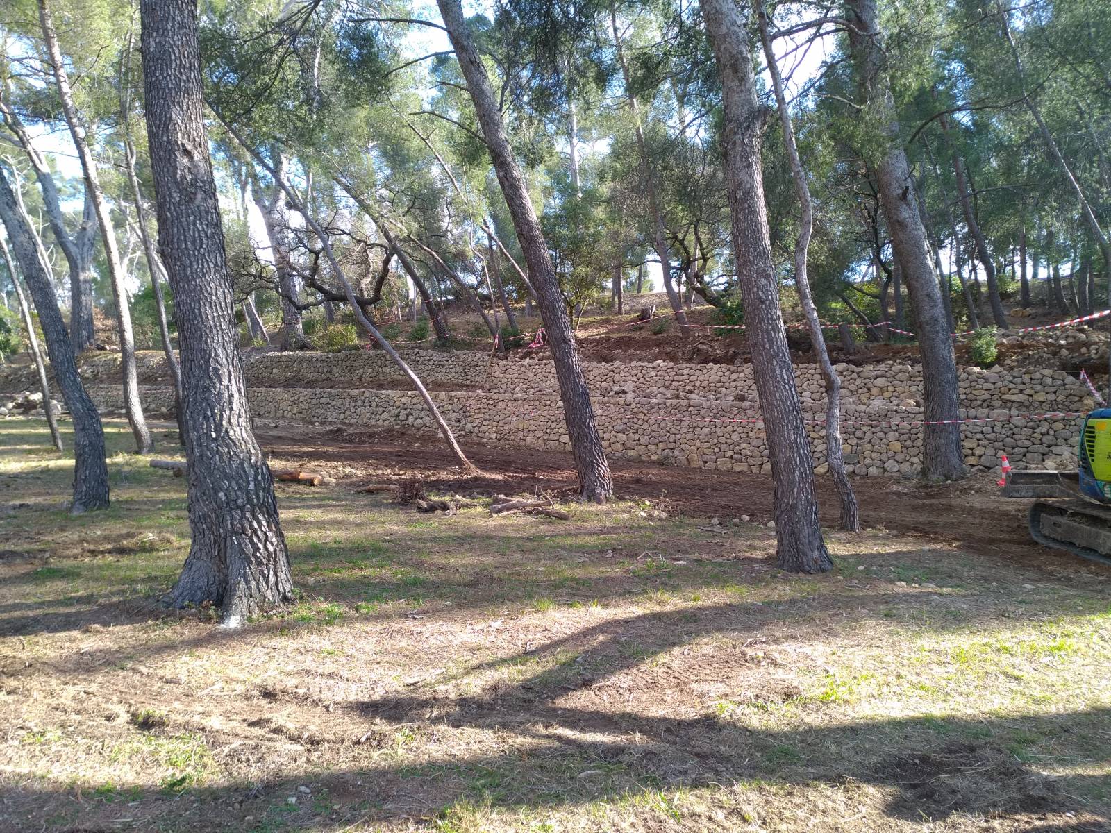 dans une belle pined entretenue des vieux murs en pierres renaissent à ollioules prés de Sanary sur mer en région Provence cote d' azur