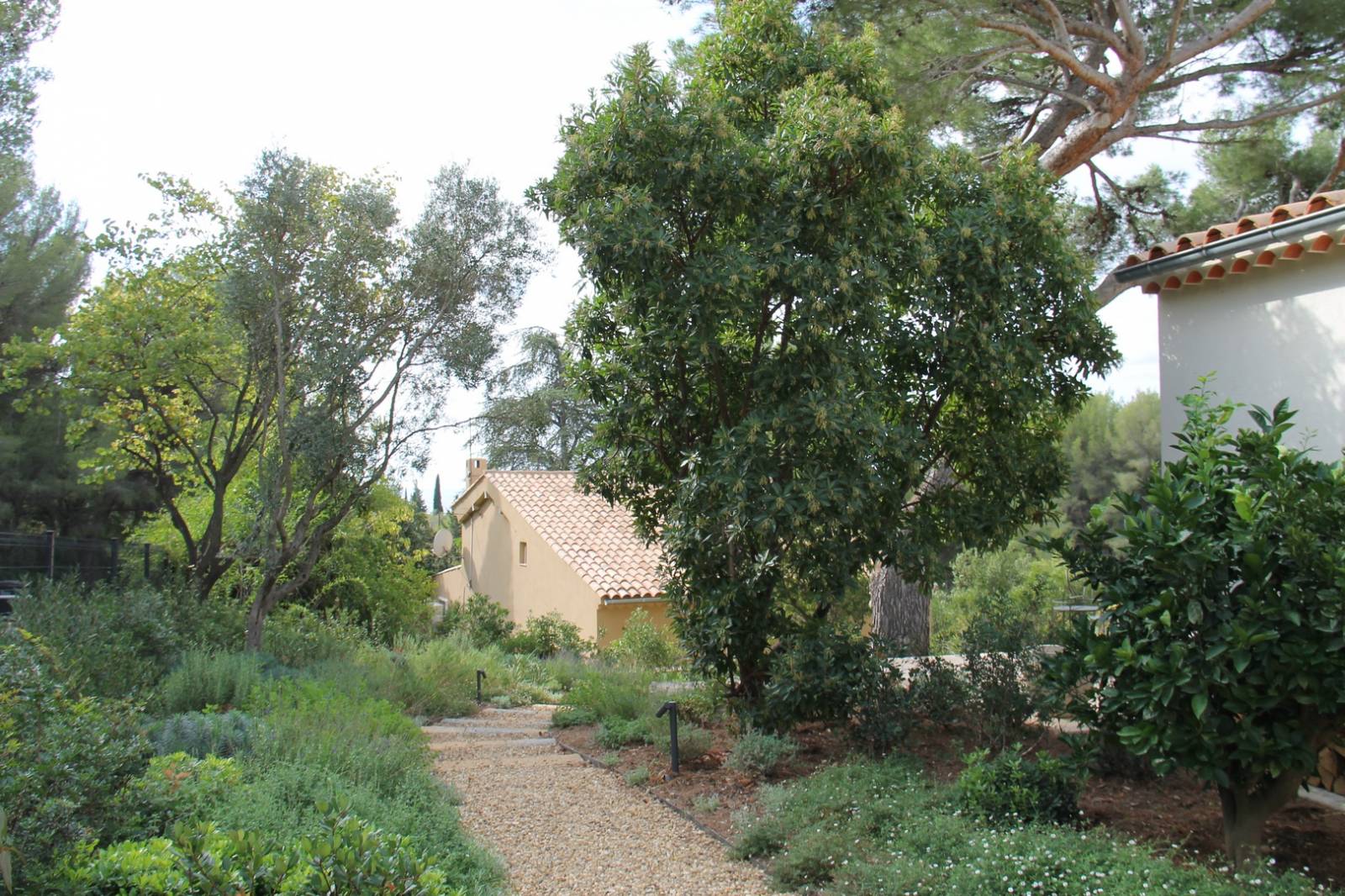 Chemin sur jardin paysager par un architecte paysagiste sur La Ciotat prés de Cassie