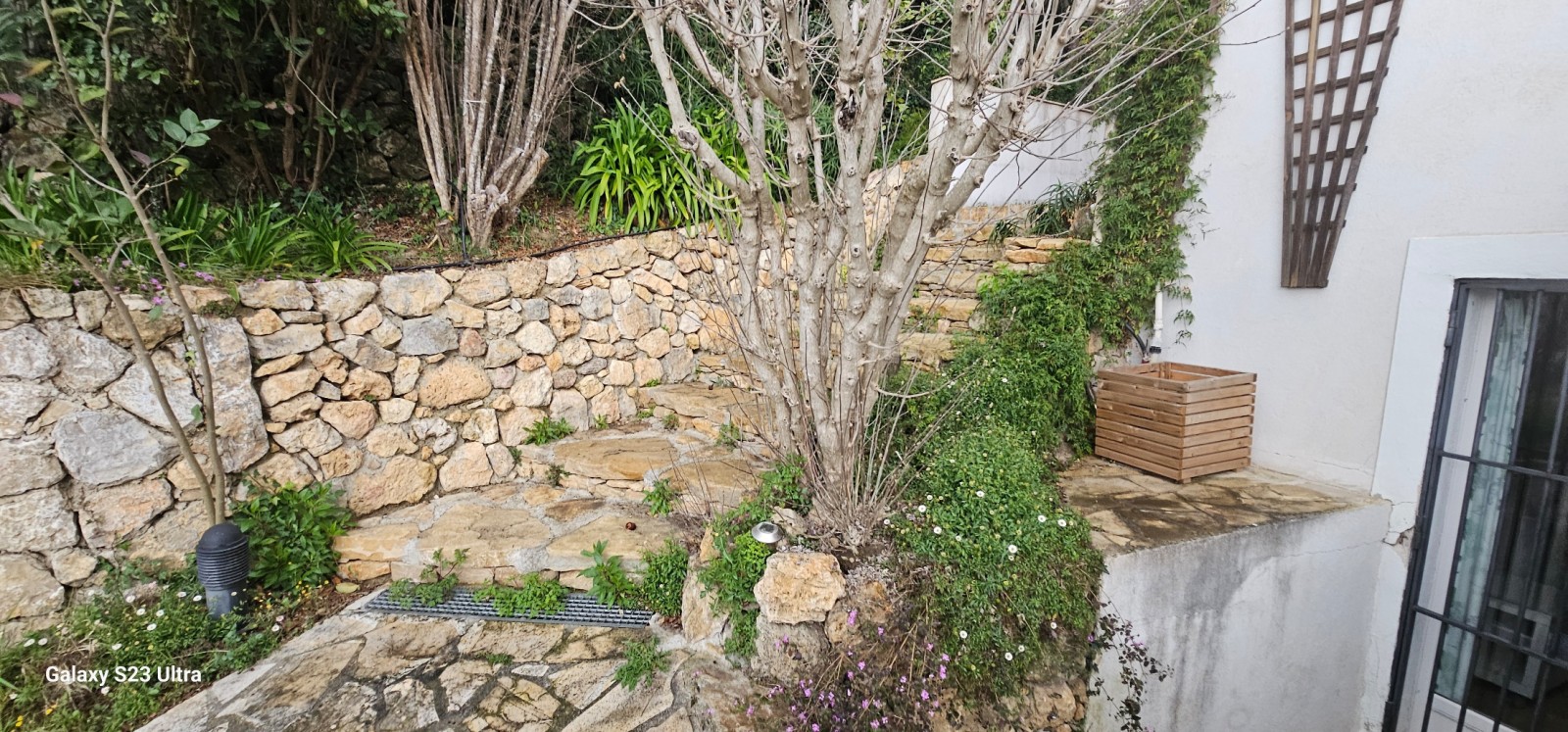 Visite 3 ans après sur la reconstruction de murets en pierres sèches à Mouans-Sartoux dans Alpes-Maritimes, en région Provence-Alpes-Côte d'Azur.