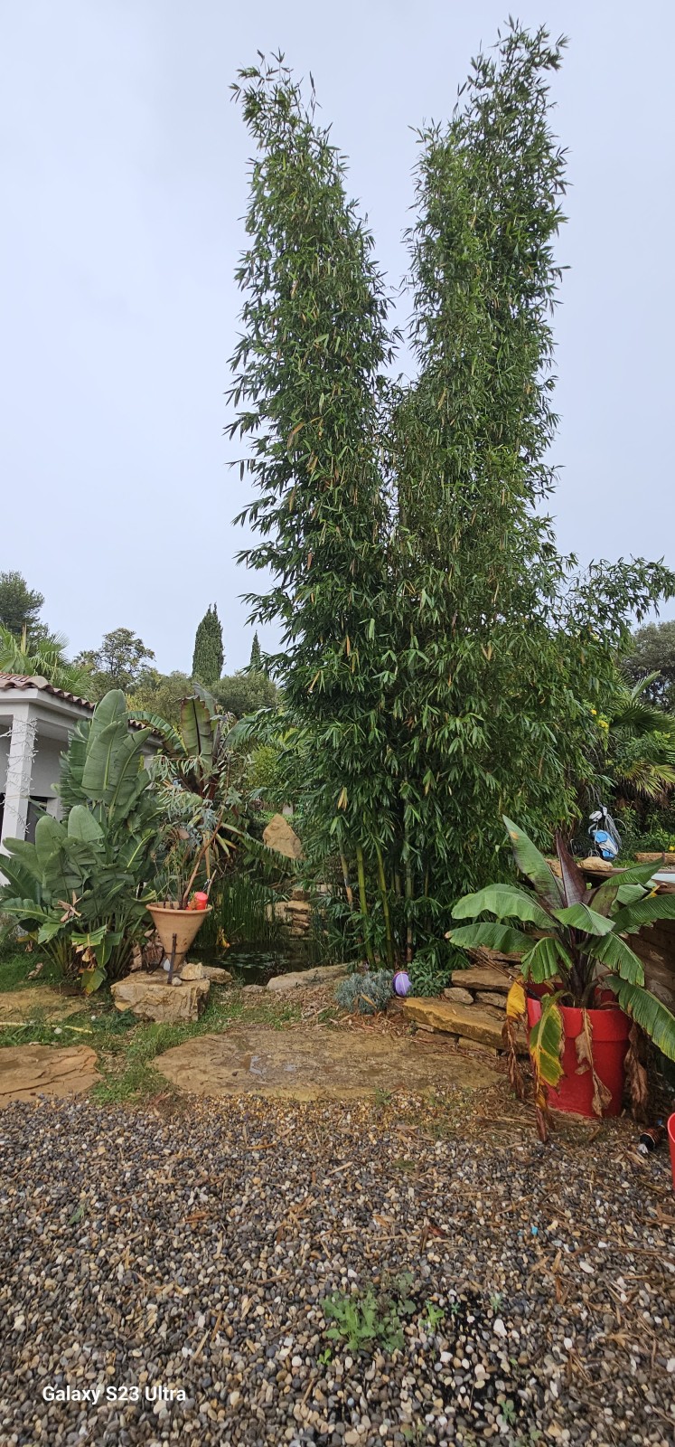 création d'un jardin méditerranéen sur Ollioules dans le VAR