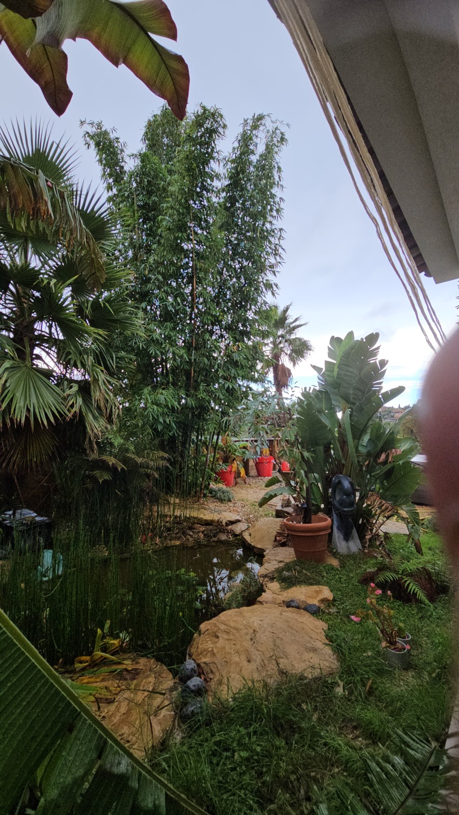 création d'un jardin méditerranéen sur Ollioules dans le VAR