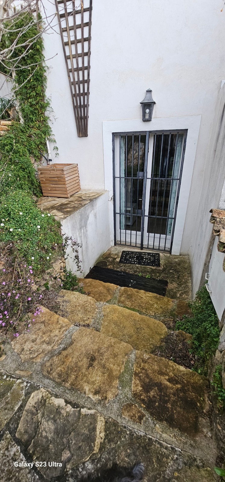 Visite 3 ans après sur la reconstruction de murets en pierres sèches à Mouans-Sartoux dans Alpes-Maritimes, en région Provence-Alpes-Côte d'Azur.