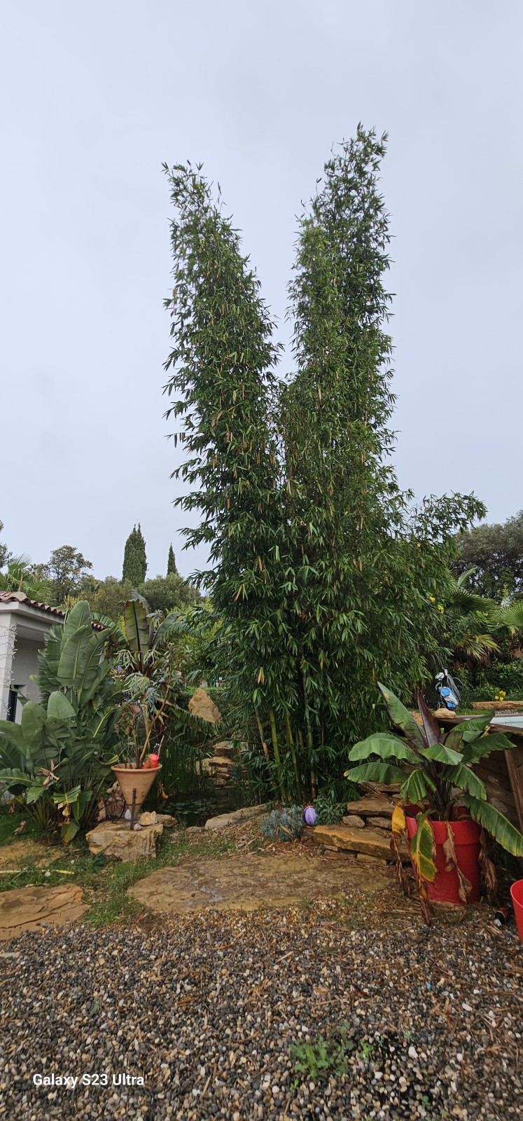 création d'un jardin méditerranéen sur Ollioules dans le VAR