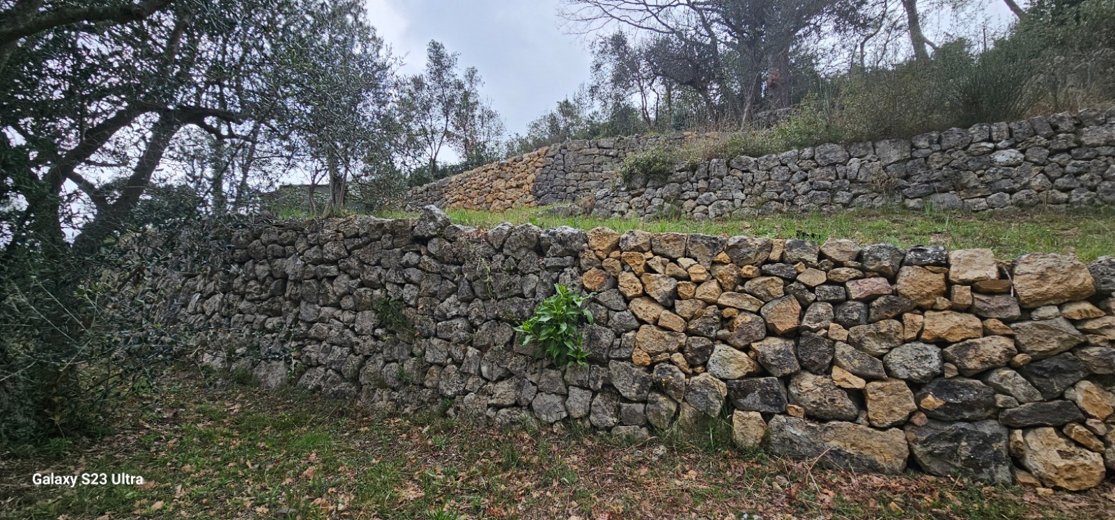 Visite 3 ans après sur la reconstruction de murets en pierres sèches à Mouans-Sartoux dans Alpes-Maritimes, en région Provence-Alpes-Côte d'Azur.
