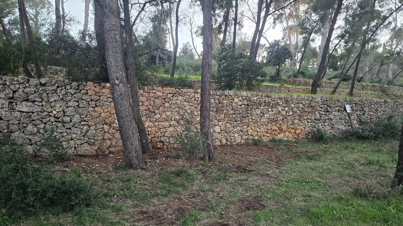 reconstruction de murets en pierres sèches à Ollioules 