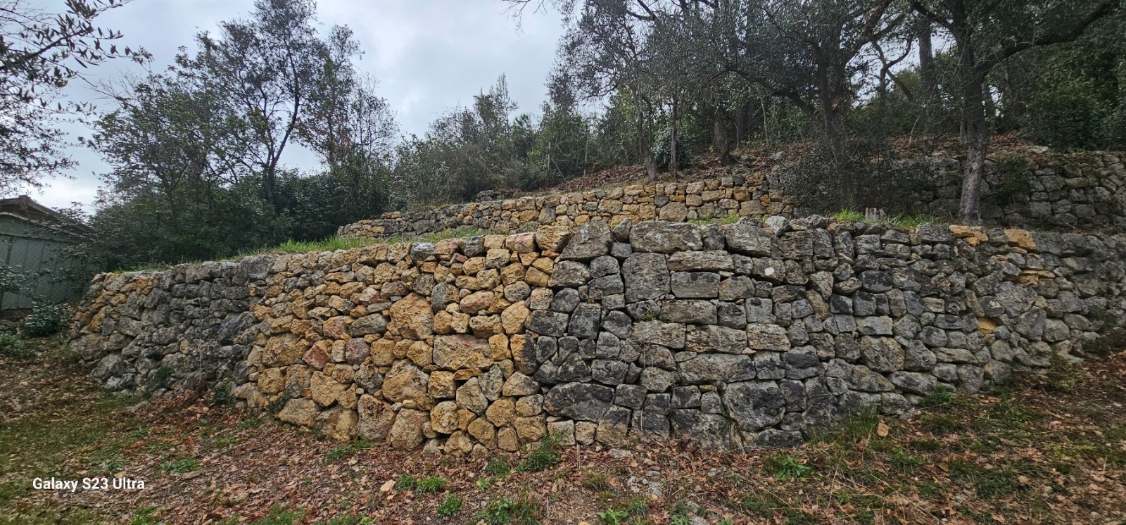 Visite 3 ans après sur la reconstruction de murets en pierres sèches à Mouans-Sartoux dans Alpes-Maritimes, en région Provence-Alpes-Côte d'Azur.