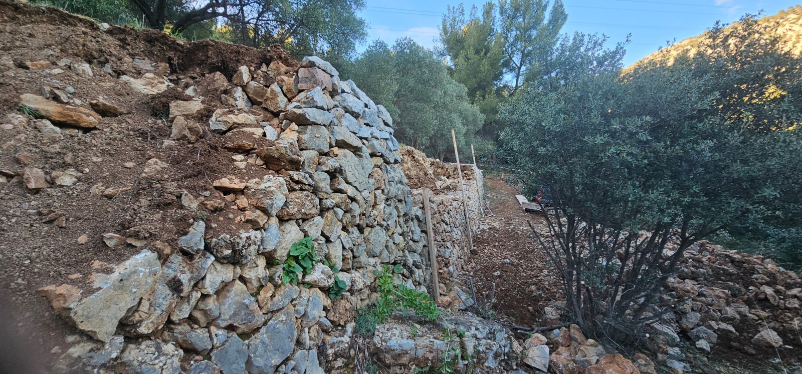 Reconstruction de murets en pierres au Conservatoire Variétal de l’Olivier à La Valette 