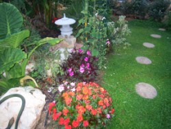 gazon dichondras avec pas japonais