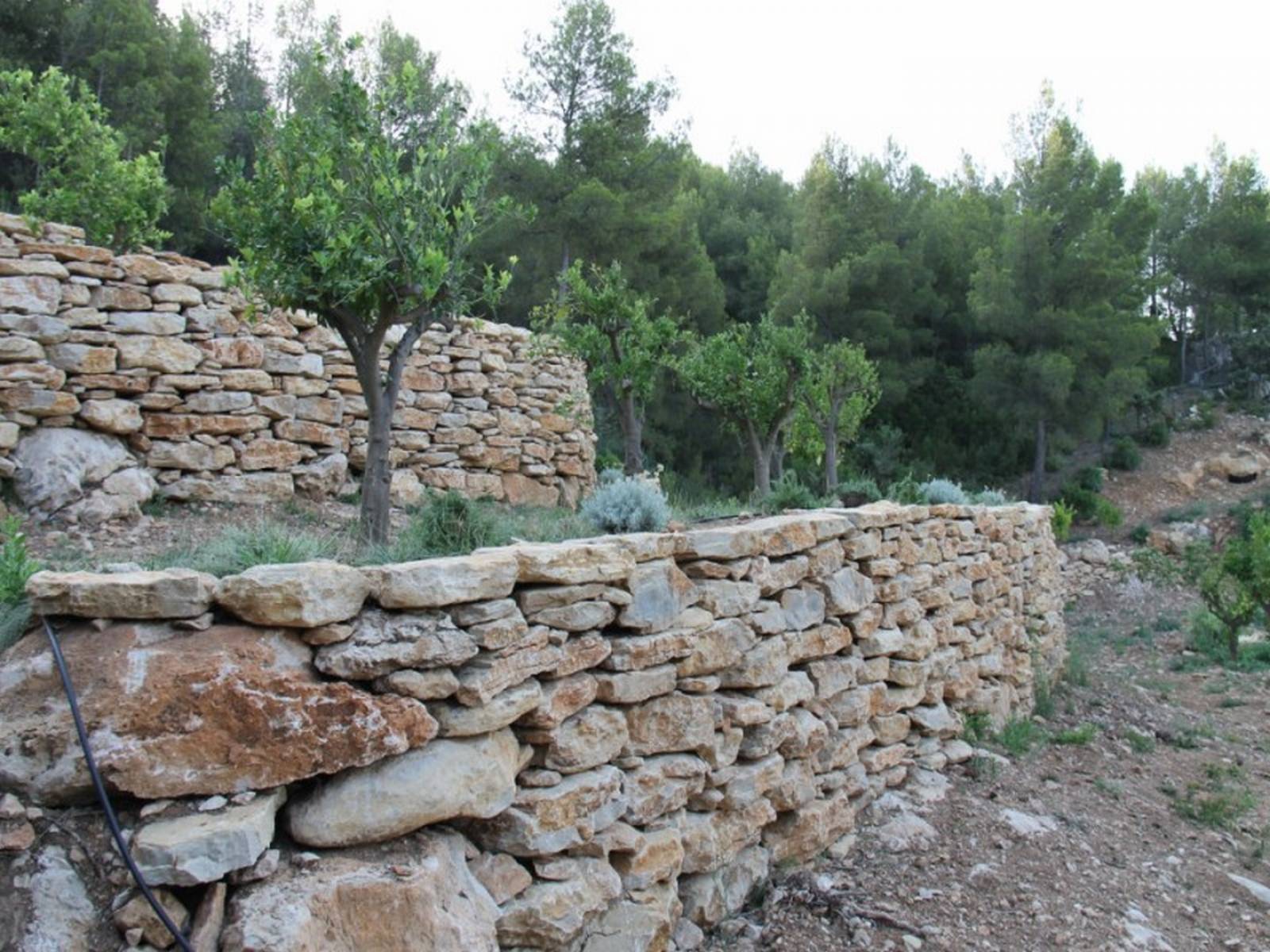 Suite mur en pierre sèche