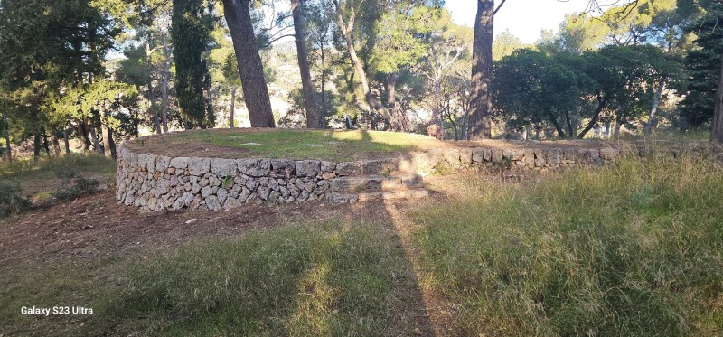 Restauration d anciens murs en pierres sèches à Ollioules 5 ans après