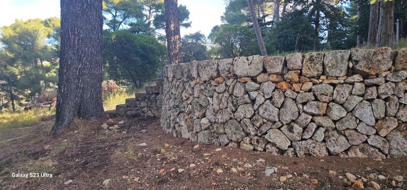 Restauration d anciens murs en pierres sèches à Ollioules 5 ans après