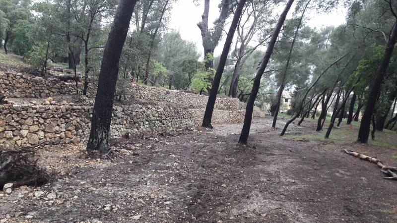 restanque de vieux murets en pierres