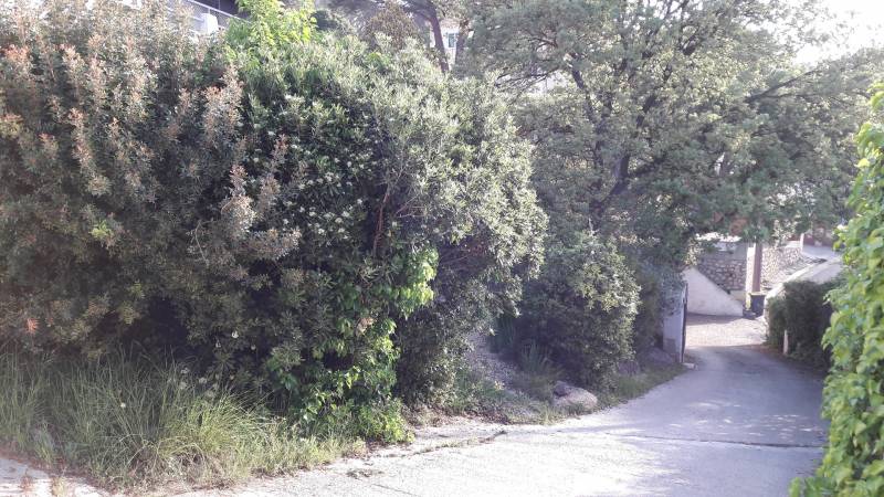 avant les travaux de création d' un parking pour voitures sur la région du var à six fours les plages