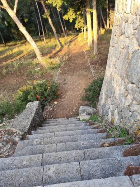 restauration vieux murs en pierres sèches à Ollioules