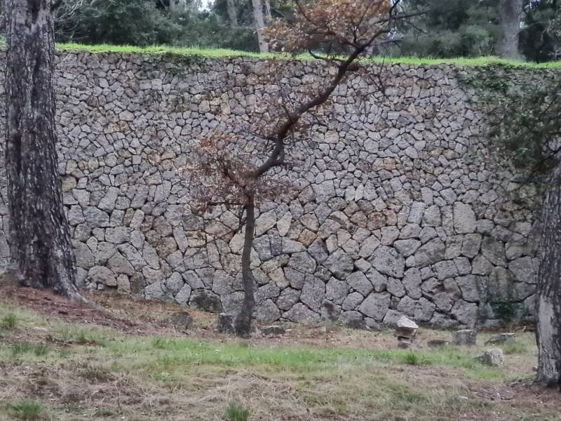 Muret en pierres sèches à Ollioules dans le var