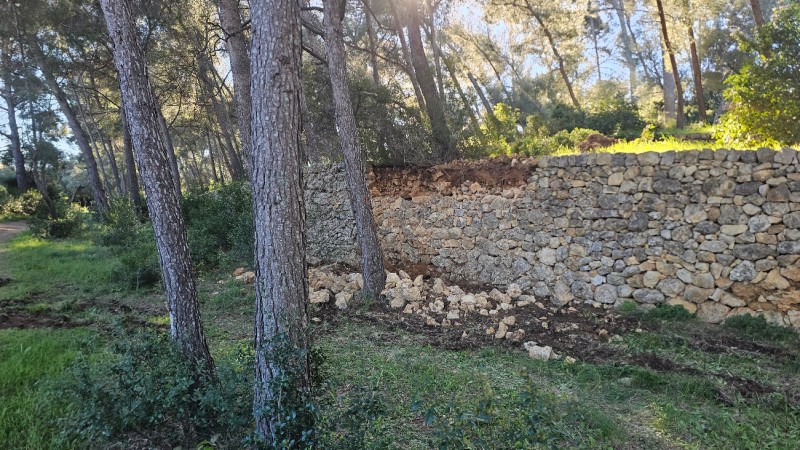 reconstruction de murets en pierres sèches à Ollioules 