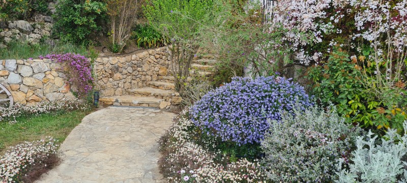 jardin authentique provençcal