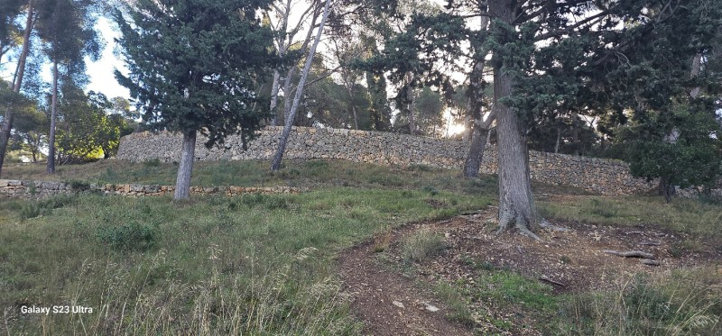 Restauration d anciens murs en pierres sèches à Ollioules 5 ans après